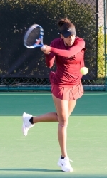 8776377.jpg
