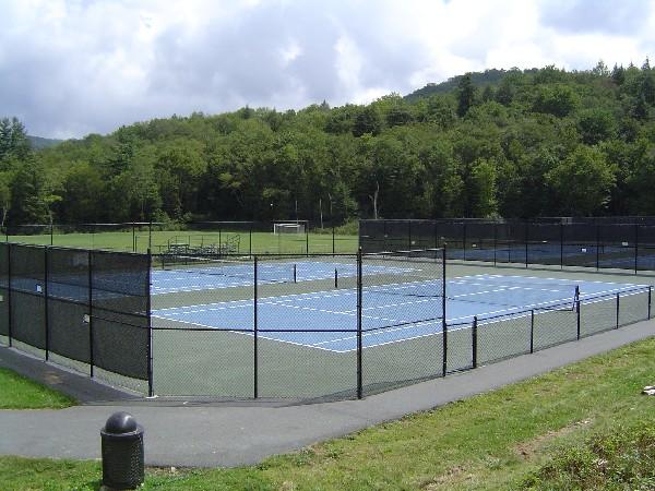 Lees-McRae College Men's Tennis